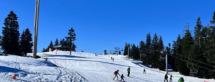 Grouse Mountain is one of Vancouver : to do list.