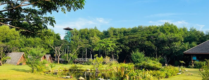 Taman Wisata Alam Angke Kapuk is one of Джакарта.