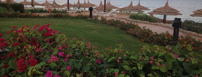 Royal Grand Sharm is one of Recom. by friends.