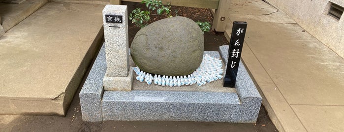 淡島神社 is one of 神奈川東部の神社(除横浜川崎).