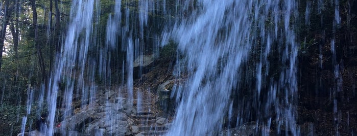 Grotto Falls is one of Sites to see.