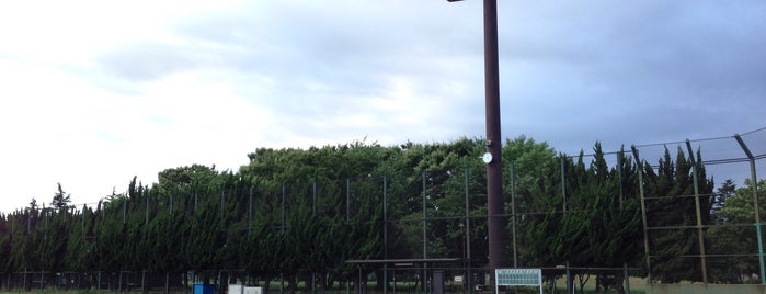 篠崎公園 is one of 駐車場.