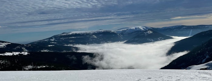 Labská bouda is one of Horské chaty & boudy v Krkonoších.