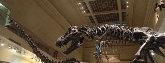 Smithsonian National Museum of Natural History is one of Washington DC.