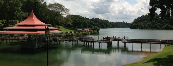 MacRitchie Reservoir Park is one of Singapore to do.