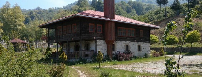 Tarihi Hemşin Cuma Camii is one of Tarihi.