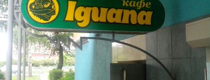 Iguana is one of Free wi-fi places in Kharkov.