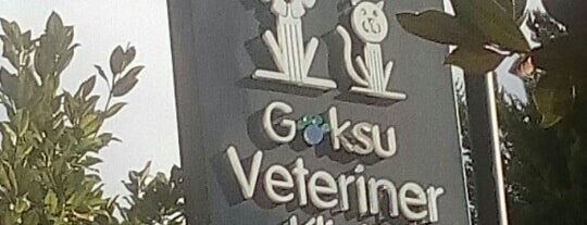 Göksu Veteriner Gülşah is one of Orhan : понравившиеся места.