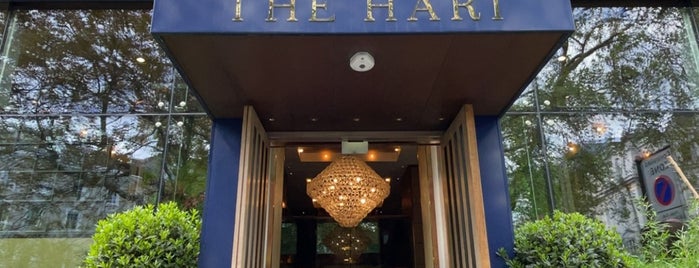 The Hari is one of London.