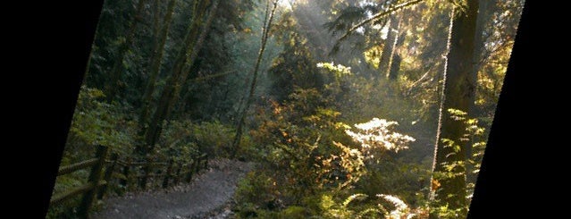 Forest Park is one of Portland, OR - Favorite Nature/Outdoors.
