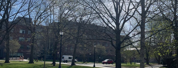 University of Massachusetts Amherst is one of Michael : понравившиеся места.