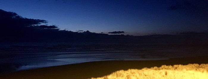 Ocean Shores North Jetty is one of Tylerさんのお気に入りスポット.