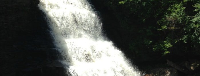 Swallow Falls State Park is one of Parks, Gardens & Wineries.