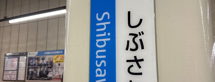 渋沢駅 (OH40) is one of なんぞこれw.