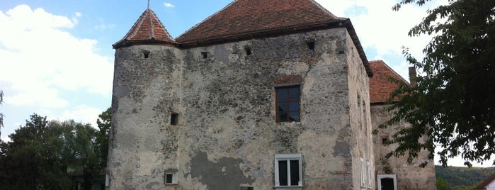 Чинадіївський замок (Сент-Міклош) is one of World Castle List.