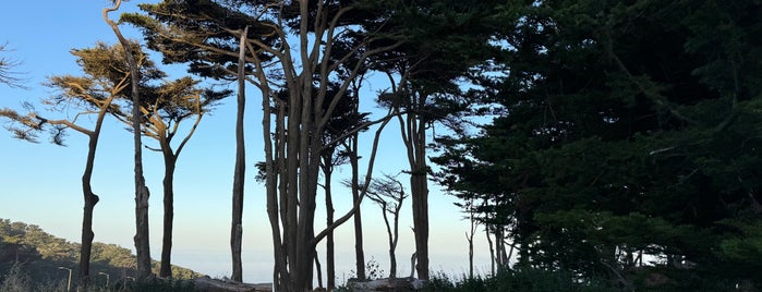 Sutro Heights Park is one of SF Parks + Beaches.