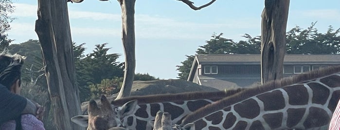 Giraffe Manor is one of Lugares favoritos de Scott.