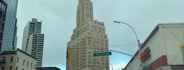 One Hanson Place /  Williamsburgh Savings Bank Tower is one of lou lou in ny.