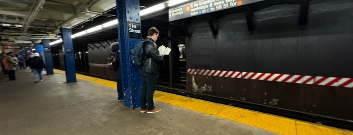 MTA Subway - 116th St (B/C) is one of NYC Subways A/C/E.