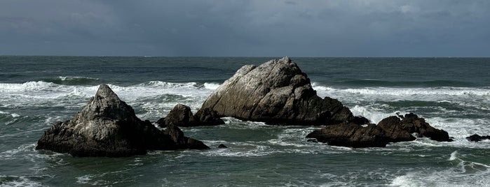 Seal Rocks is one of Down by the Bay.