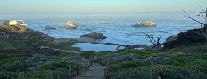 Point Lobos is one of San Fran.