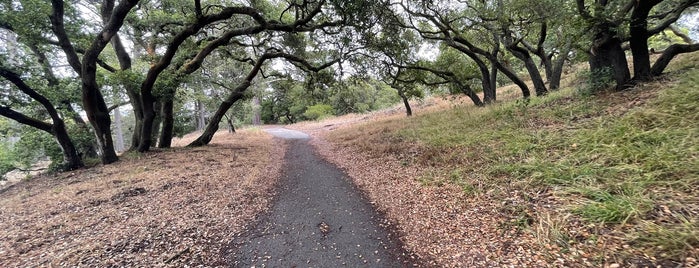 Bunny Meadow is one of Top picks for Parks.