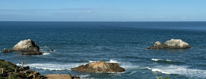 Point Lobos is one of Alberto J S'ın Beğendiği Mekanlar.