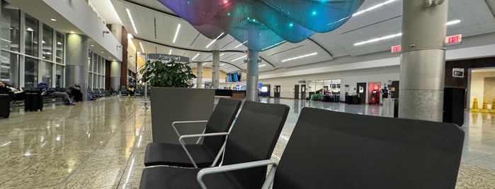 International Arrivals Hall is one of All the Airports.