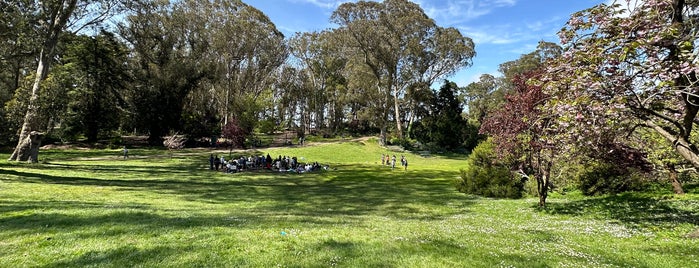 Marx Meadow is one of Golden Gate Park.