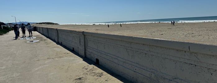 Great Highway Seawall/Promenade is one of Animal de compagnie.