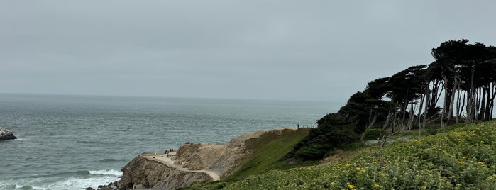 Point Lobos is one of ACT–BAY | Landmark.