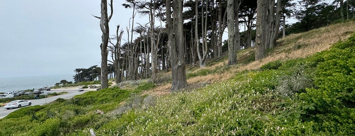 Sutro Heights Park is one of San Fra.