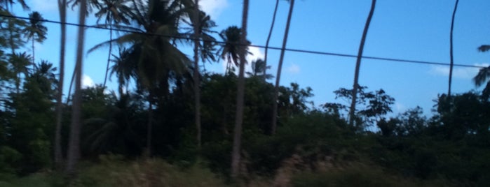 Alagoas is one of Lugares favoritos de Iracilda.