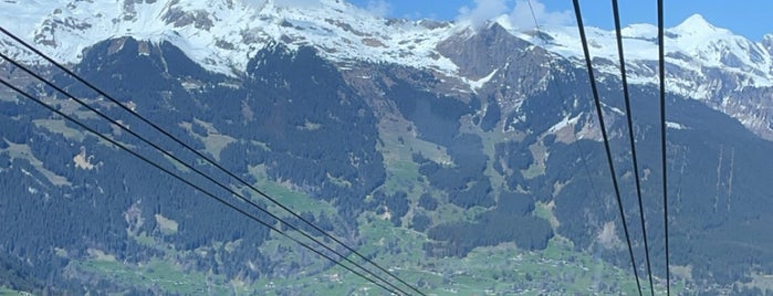 Jungfraujoch is one of สถานที่ที่บันทึกไว้ของ Pupae.