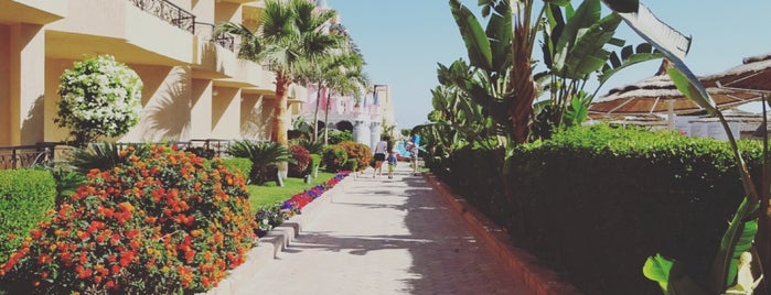 Panorama Bungalows Resort Hurghada is one of Мои гастрольные клубы.