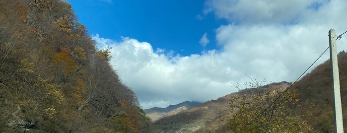 Kavtaradzeebis Khinkali | ქავთარაძეების ხინკალი is one of Georgia.