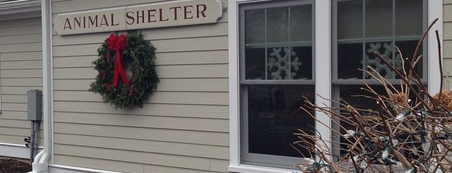Scituate Animal Shelter is one of Locais curtidos por icelle.