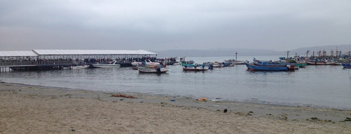 Bahía de Paracas is one of Perú 01.