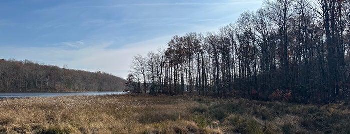 Burke Lake Park is one of DC.