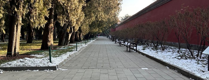 Zhongshan Park is one of China highlights.