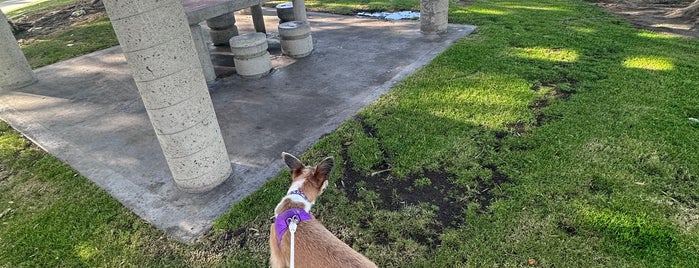 Embarcadero Marina Park is one of California 2019.