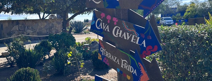 Casa Frida is one of Valle de Guadalupe / Ensenada Road Trip.