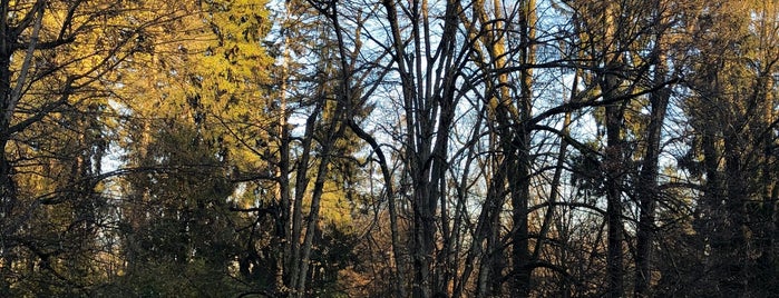 Woods Of TIVOLI is one of Running paths in Ljubljana.