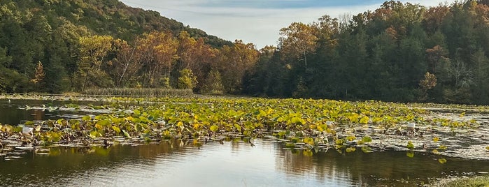 Lake Leatherwood City Park is one of Eureka Springs.