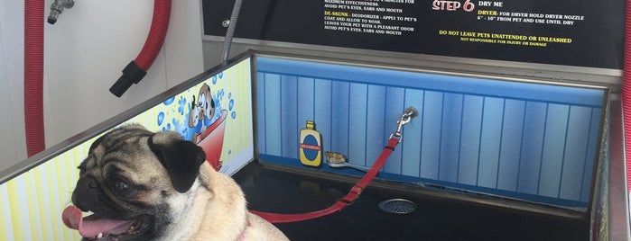 Bark N Bubbles is one of Beckyさんのお気に入りスポット.