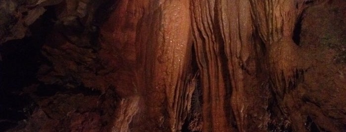 Tuckaleechee Caverns is one of Tempat yang Disukai Becky.