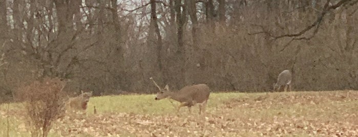 Palos Hills Bike Trails is one of Chicagoland Trail Running.