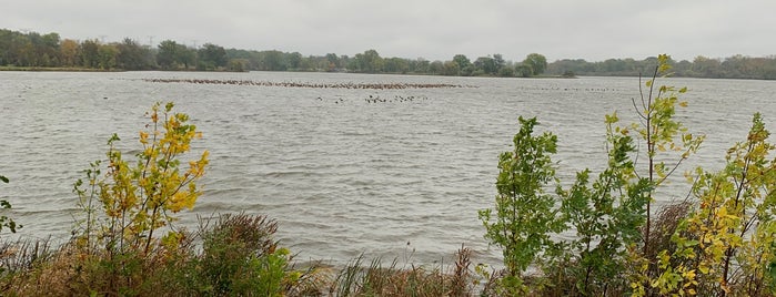 Tampier Lake is one of Cook County Woods.