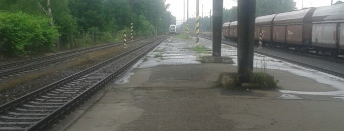 Železniční stanice Albrechtice u Českého Těšína is one of Linka S1/R1 ODIS Opava východ - Český Těšín.