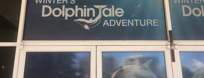 Winter's Dolphin Tale Adventure is one of Clearwater.